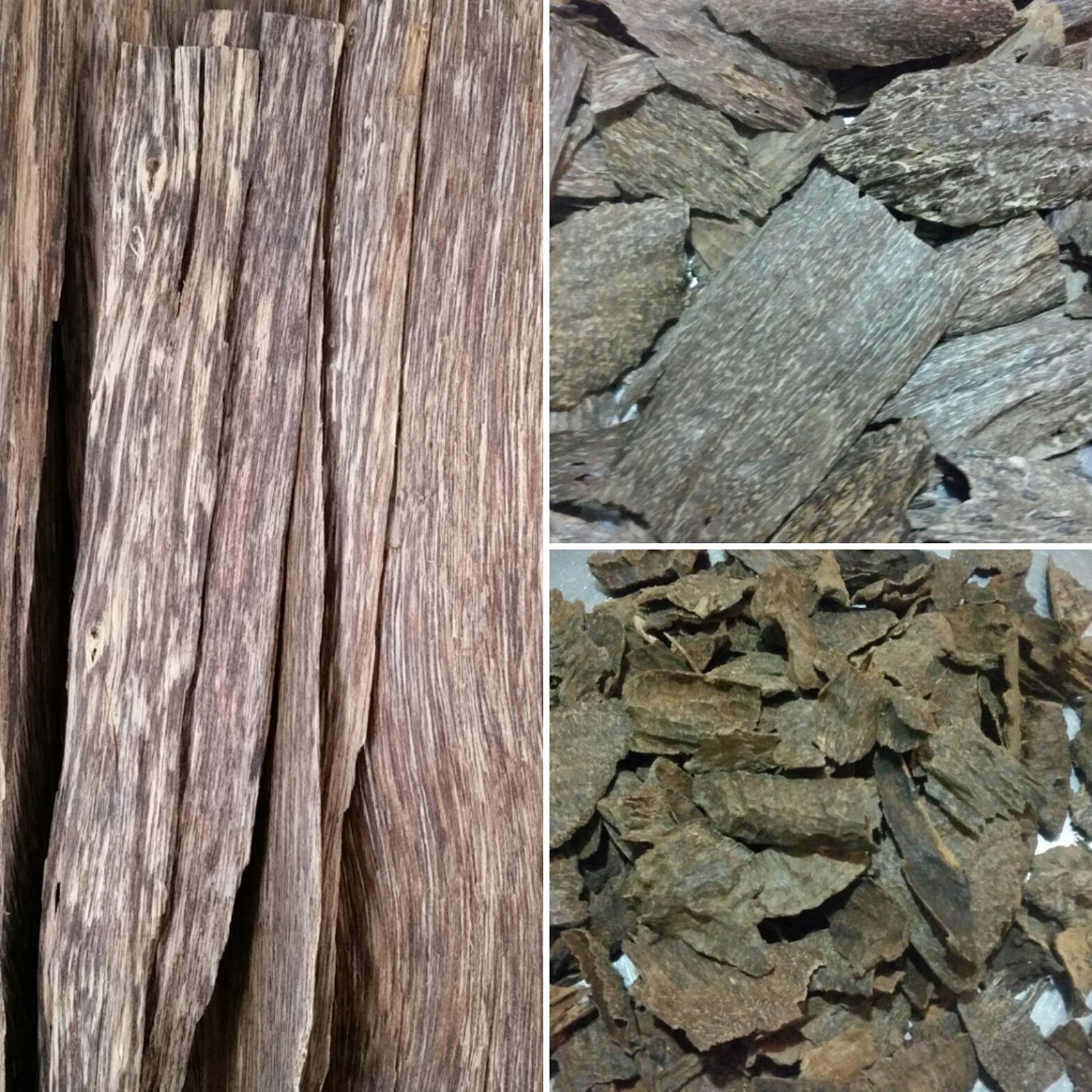agarwood oudh chips incense