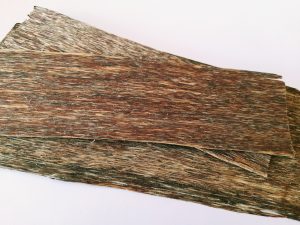 Vietnamese Cultivated Agarwood