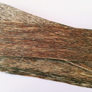 Vietnamese Cultivated Agarwood